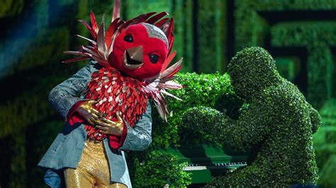 The Masked Singer: bookies' convinced of these identities.
